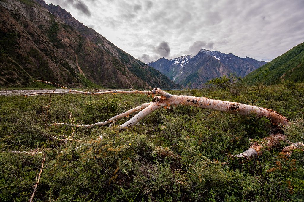 Dolpo