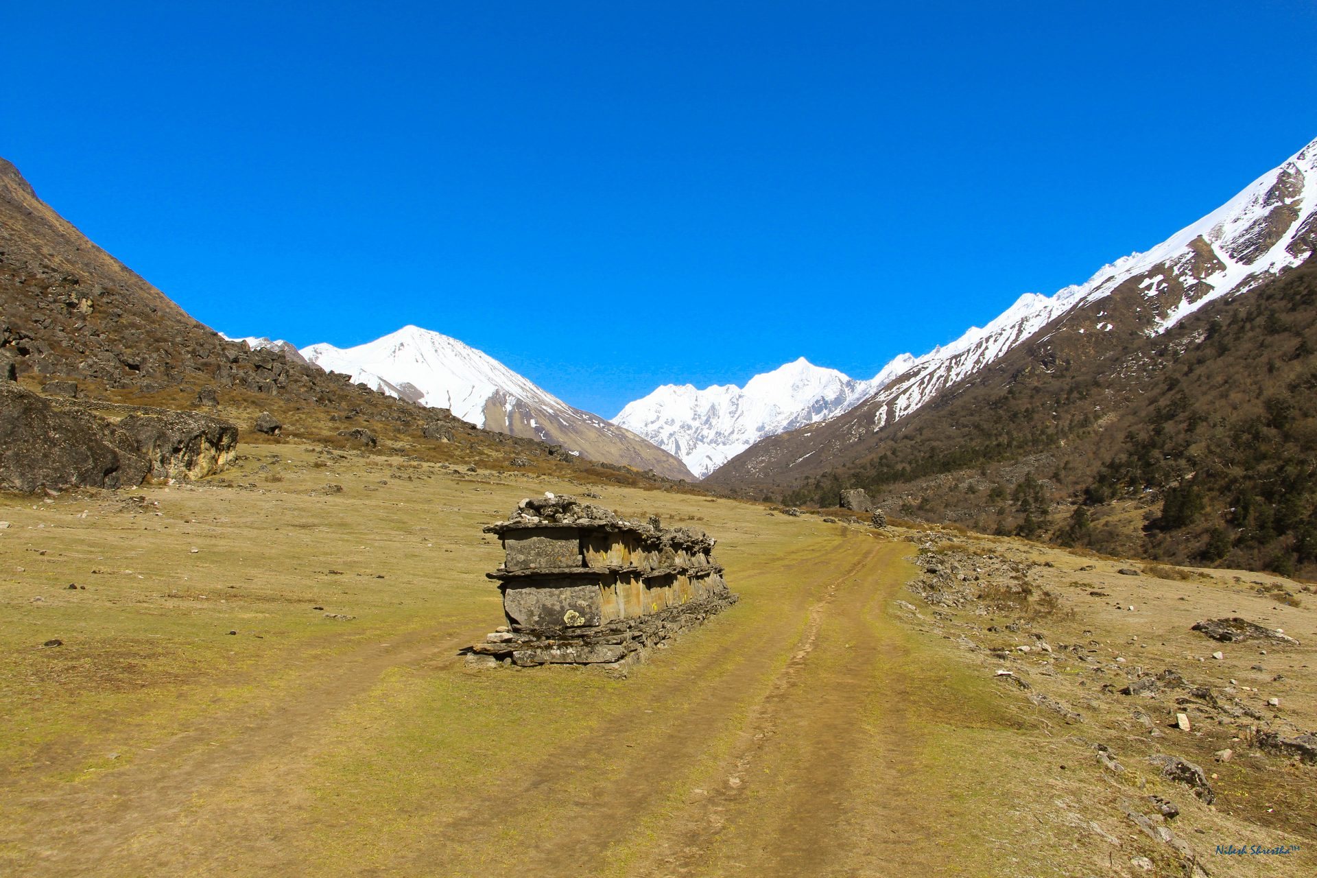 Yala Peak Climbing - 14 Days