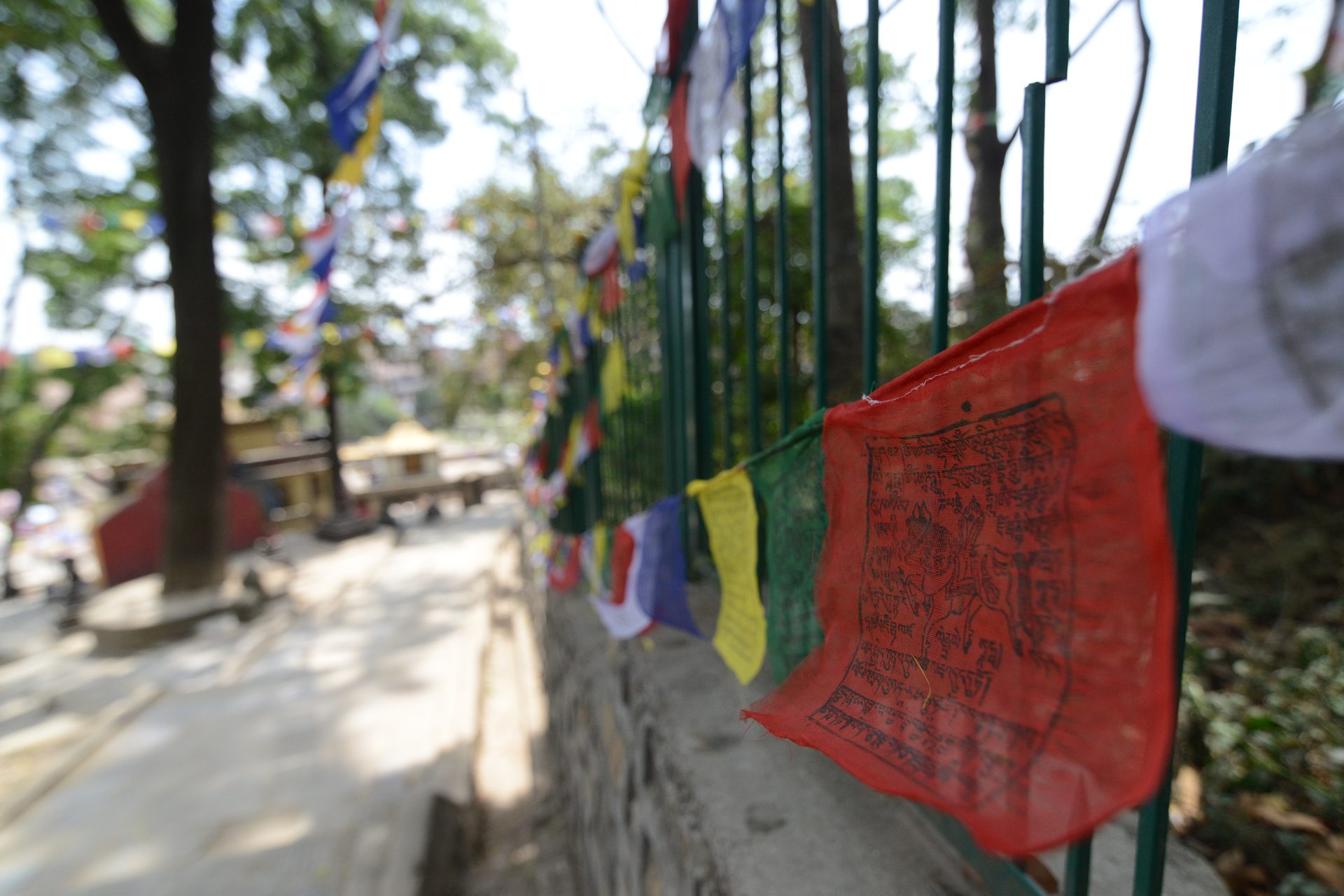 Prayer flags carry blessings on the wind. — Tsum Valley: The History of the Shyagya Non-Violence Tradition