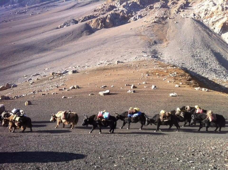 Gyala Banjyang and Ruila Pass: Remote Nepal–Tibet Border Trails in the Manaslu Region